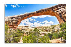 Obraz na stenu ZS - bez pomeru strán